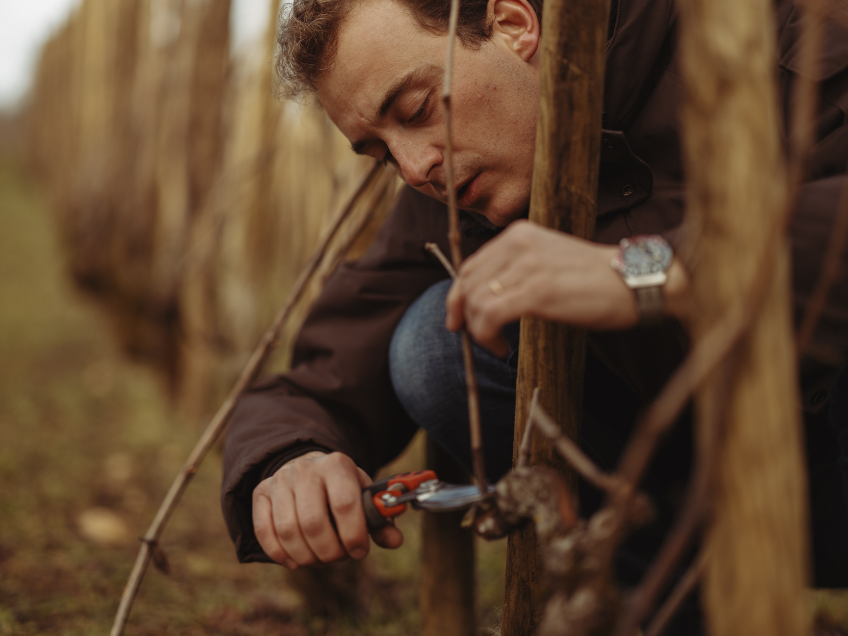 Keeling Andrew | Charles Lachaux